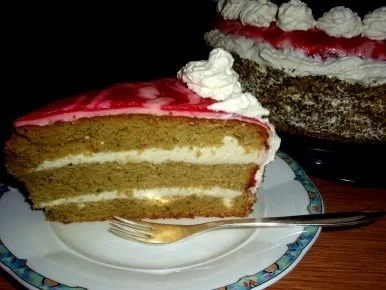 Kürbiskernöltorte mit Fruchtspiegel - Rezept - Bild Nr. 4