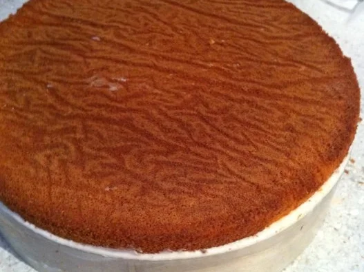 Ludwig's Käsesahnetorte mit Pfirsichen - Rezept - Bild Nr. 7