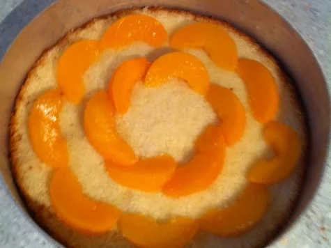 Ludwig's Käsesahnetorte mit Pfirsichen - Rezept - Bild Nr. 3