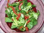 Feldsalat mit Paprika Dieter´s Art - Rezept