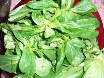 Feldsalat mit Paprika Dieter´s Art - Rezept - Bild Nr. 2