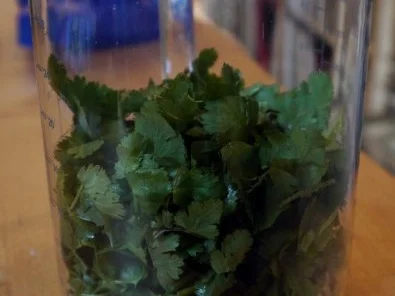 Koriander-Walnuss-Pesto - Rezept - Bild Nr. 3