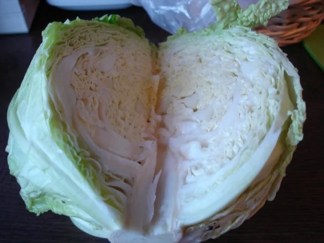 Chinesische Frühlingsrolle - Rezept - Bild Nr. 4