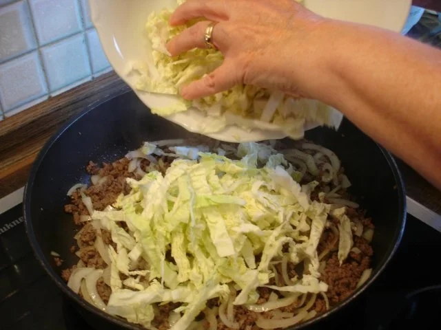 Chinesische Frühlingsrolle - Rezept - Bild Nr. 8