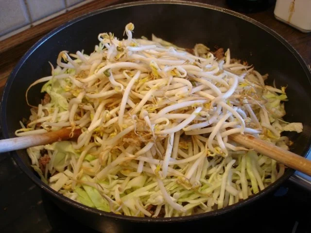 Chinesische Frühlingsrolle - Rezept - Bild Nr. 9