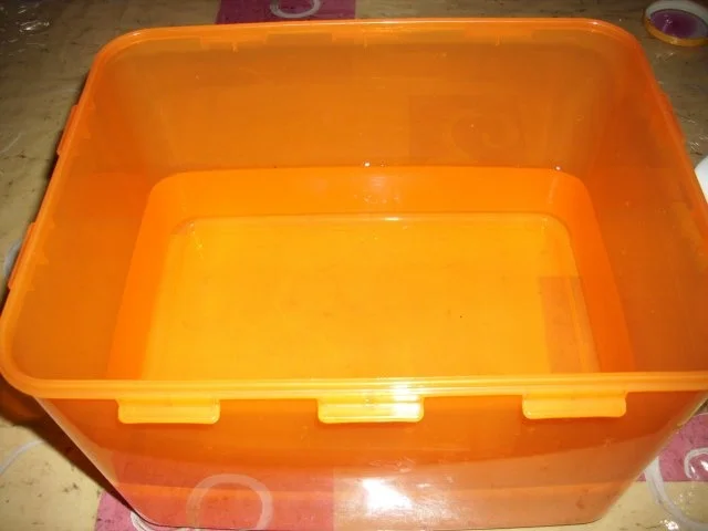 Forellen geräuchert - Rezept - Bild Nr. 4