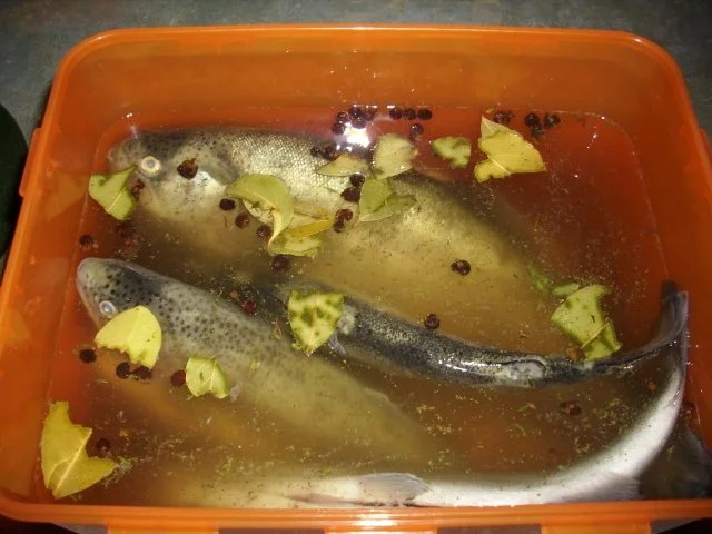 Forellen geräuchert - Rezept - Bild Nr. 8