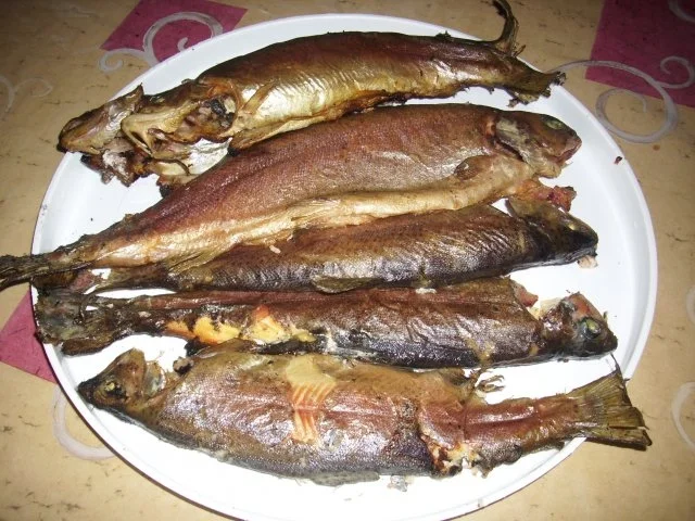 Forellen geräuchert - Rezept - Bild Nr. 13