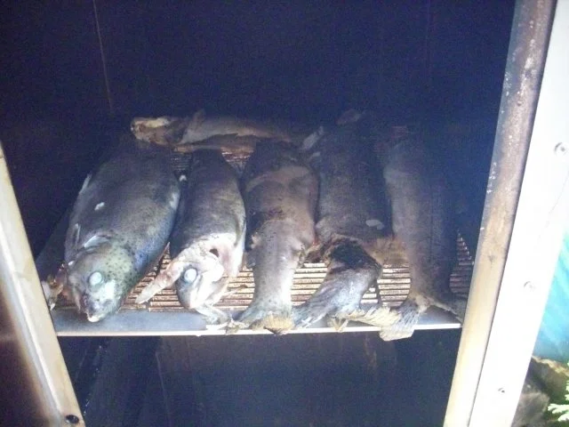 Forellen geräuchert - Rezept - Bild Nr. 9