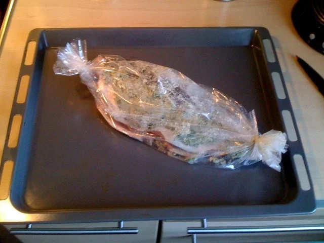 Rezept: Leo´s Wildlachs im Bratschlauch Bild Nr. 2 Leo´s Wildlachs im Bratschlauch - Rezept - Bild Nr. 2