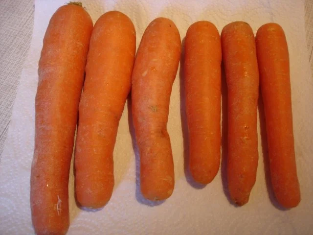 Rezept: Möhrenblütengemüse Bild Nr. 2 Möhrenblütengemüse - Rezept - Bild Nr. 2