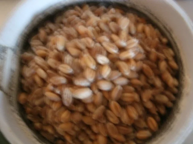 Knusperbrot-Körnersnack- vollwertig - Rezept - Bild Nr. 2