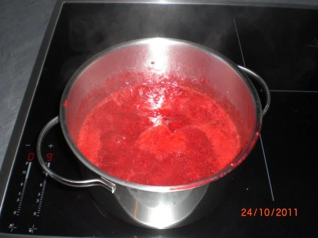 Marmeladen - Rezept - Bild Nr. 9