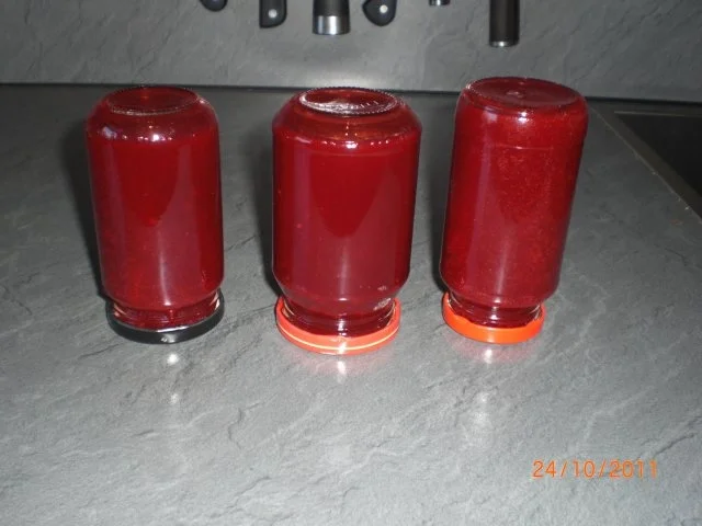 Marmeladen - Rezept - Bild Nr. 11