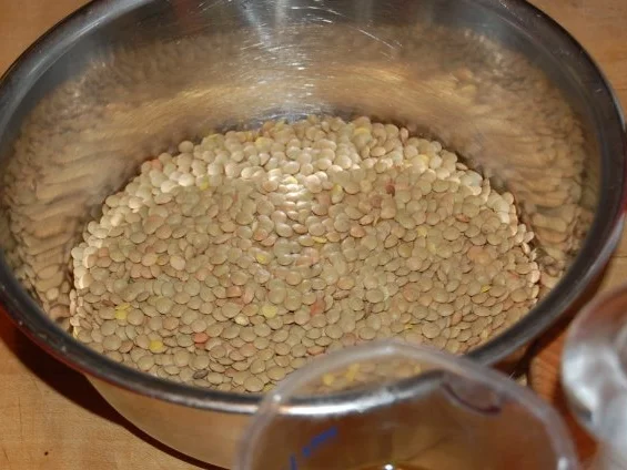 Rezept: POULARDENBRUST AUF SENF - LINSEN Bild Nr. 2 POULARDENBRUST AUF SENF - LINSEN - Rezept - Bild Nr. 2