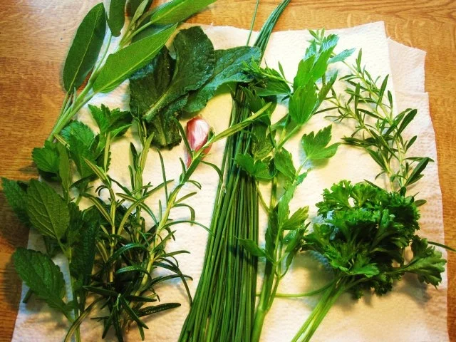 Blumenkohl mit Kräutersoße ... - Rezept - Bild Nr. 4