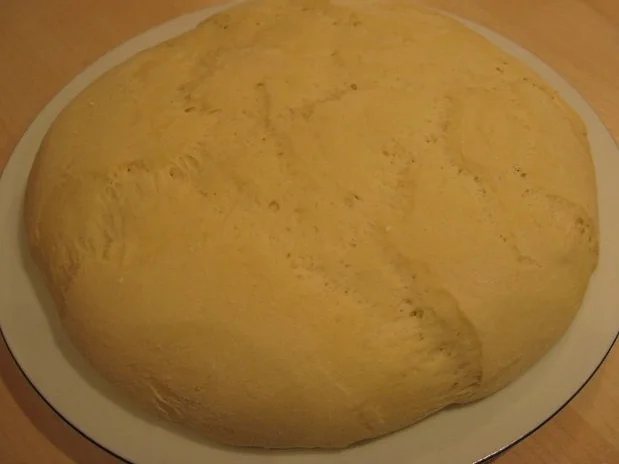 Flammkuchen mit Bergkäse - Rezept - Bild Nr. 3