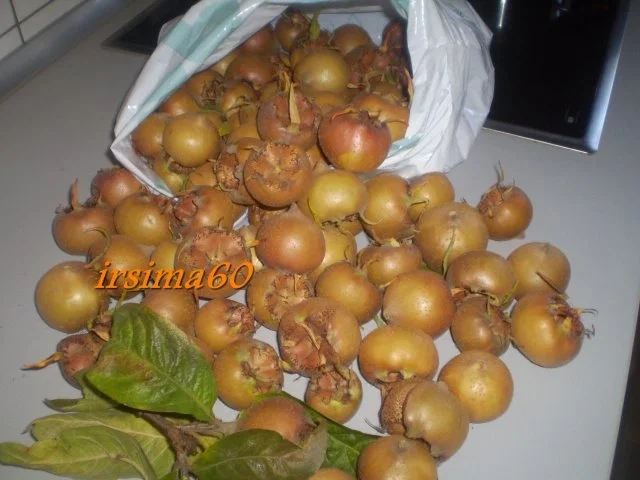 Mispellikör - Rezept - Bild Nr. 4