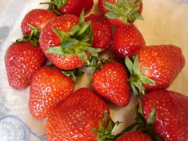 Spaghetti-Eis - Rezept - Bild Nr. 2