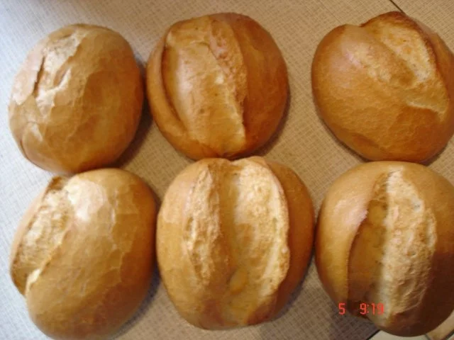 Semmelknödel mit Schwammerlsauce - Rezept - Bild Nr. 2