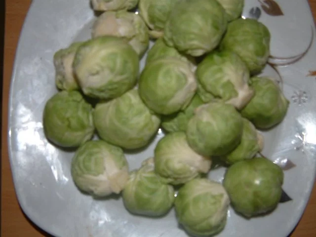 Überbackenes Schweinefilet mit Senfsahnekruste - Rezept - Bild Nr. 10