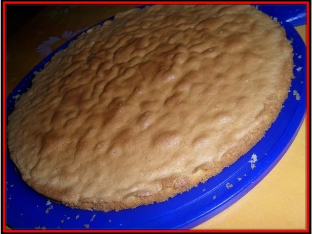 Himbeer-Torte - Rezept - Bild Nr. 19