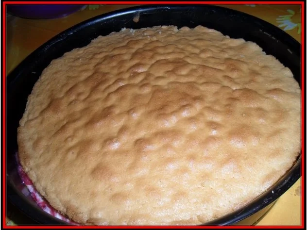 Himbeer-Torte - Rezept - Bild Nr. 20