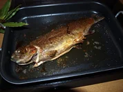 Lachsforelle aus dem Ofen mit buntem Pfeffer & Kräutern     (Truite saumon cuit au four) - Rezept