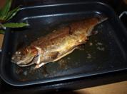 Lachsforelle aus dem Ofen mit buntem Pfeffer & Kräutern     (Truite saumon cuit au four) - Rezept