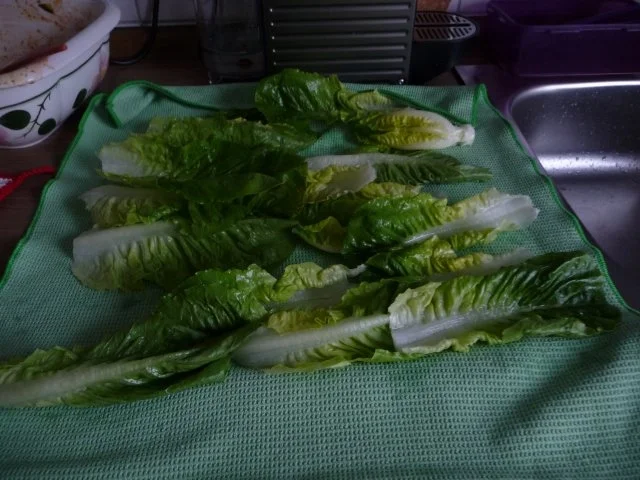 Rezept: Resteverwertung : ... überbackenes Zwiebelhackfleisch Bild Nr. 21 Resteverwertung : ... überbackenes Zwiebelhackfleisch - Rezept - Bild Nr. 21