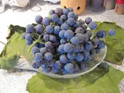 Uhudler (Rote-Weintrauben) - Marmelade - Rezept