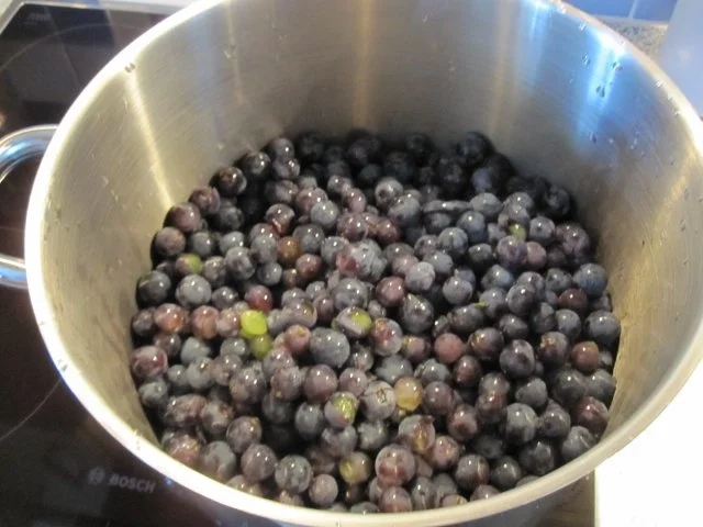 Rezept: Uhudler (Rote-Weintrauben) - Marmelade Bild Nr. 2 Uhudler (Rote-Weintrauben) - Marmelade - Rezept - Bild Nr. 2