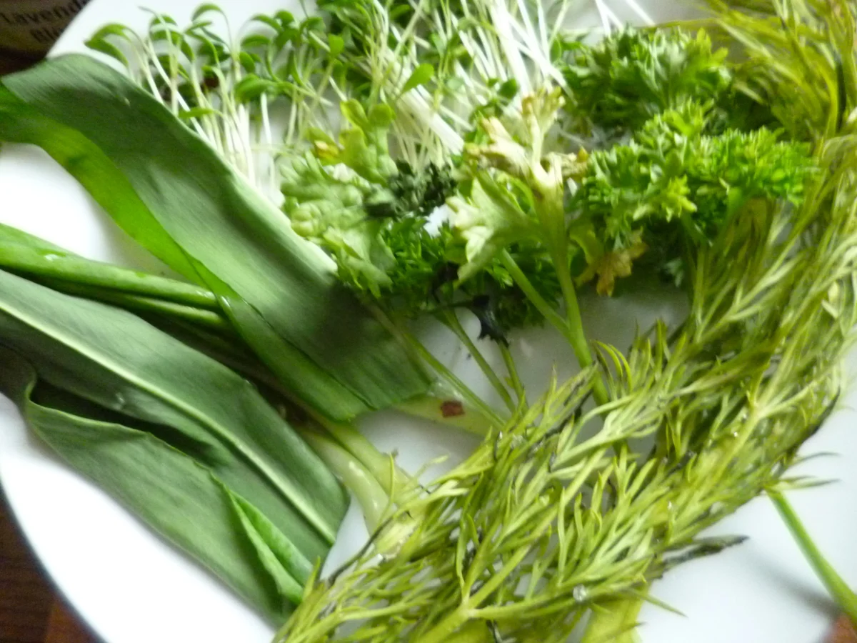 Rezept: Sommerfrische Gartenlauben- Kräuterbutter Sommerfrische Gartenlauben- Kräuterbutter - Rezept