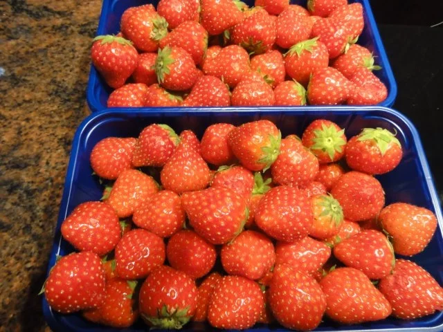 Dessert:   ERDBEER-SAHNE-JOGHURT - Rezept - Bild Nr. 2