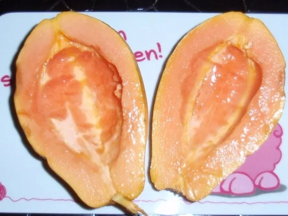 Papaya-Quark - Rezept - Bild Nr. 3