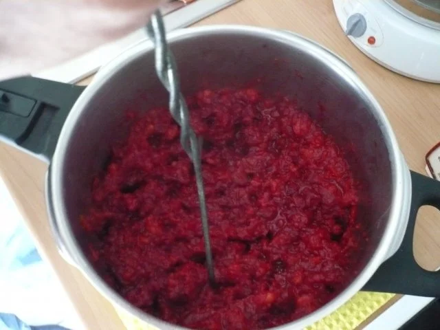 Rezept: Lachsfilet mit Rote Bete Püree Bild Nr. 8 Lachsfilet mit Rote Bete Püree - Rezept - Bild Nr. 8