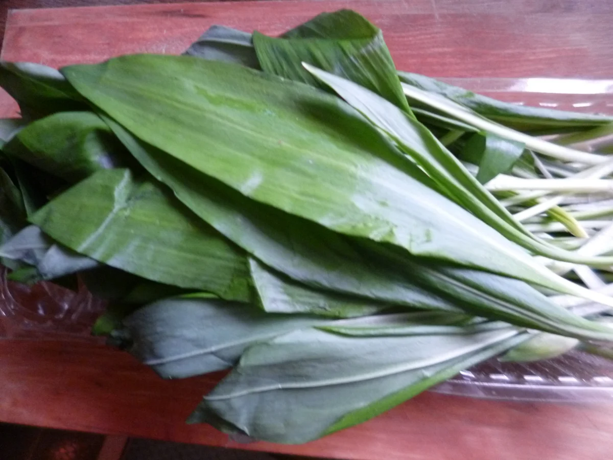 Bärlauchbutter mit Sonnenblumenkernen - Rezept - Bild Nr. 2