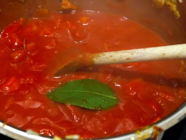 Hähnchenbrust auf Kürbis-.Tomaten-Sauce mit Basmatireis - Rezept - Bild Nr. 5