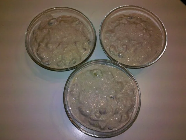 Rezept: Dessert: Winterzauber - ein Fruchtquark Bild Nr. 4 Dessert: Winterzauber - ein Fruchtquark - Rezept - Bild Nr. 4