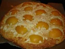 Aprikosen-Focaccia; italienisches Gebäck oder Kuchen - Rezept