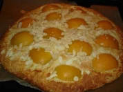 Aprikosen-Focaccia; italienisches Gebäck oder Kuchen - Rezept