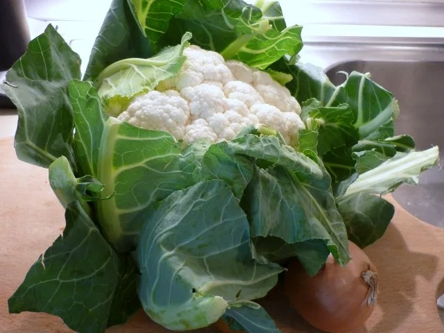 Rezept: Blumenkohlsüppchen mit Wildschwein – Hack - Klößchen.... Bild Nr. 2 Blumenkohlsüppchen mit Wildschwein – Hack - Klößchen.... - Rezept - Bild Nr. 2