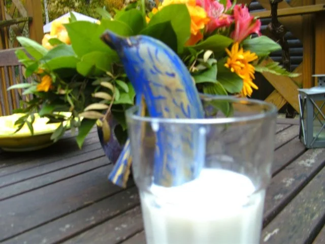 Rezept: Flipper war zu Besuch ;-)) und hat Bananenmilch für euch mitgebracht ;-))…. Bild Nr. 2 Flipper war zu Besuch ;-)) und hat Bananenmilch für euch mitgebracht ;-))…. - Rezept - Bild Nr. 2