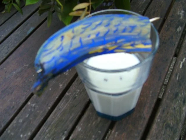 Rezept: Flipper war zu Besuch ;-)) und hat Bananenmilch für euch mitgebracht ;-))…. Bild Nr. 4 Flipper war zu Besuch ;-)) und hat Bananenmilch für euch mitgebracht ;-))…. - Rezept - Bild Nr. 4