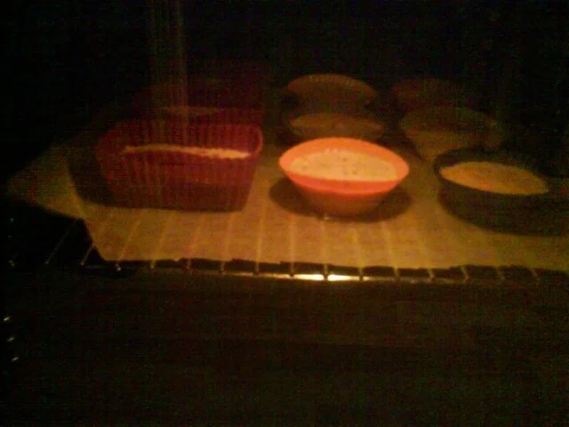 Rezept: Carrot Monster Cupcakes with Orange Frosting Bild Nr. 10 Carrot Monster Cupcakes with Orange Frosting - Rezept - Bild Nr. 10