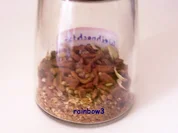 Gewürz: Weihnachtsmischung - Rezept