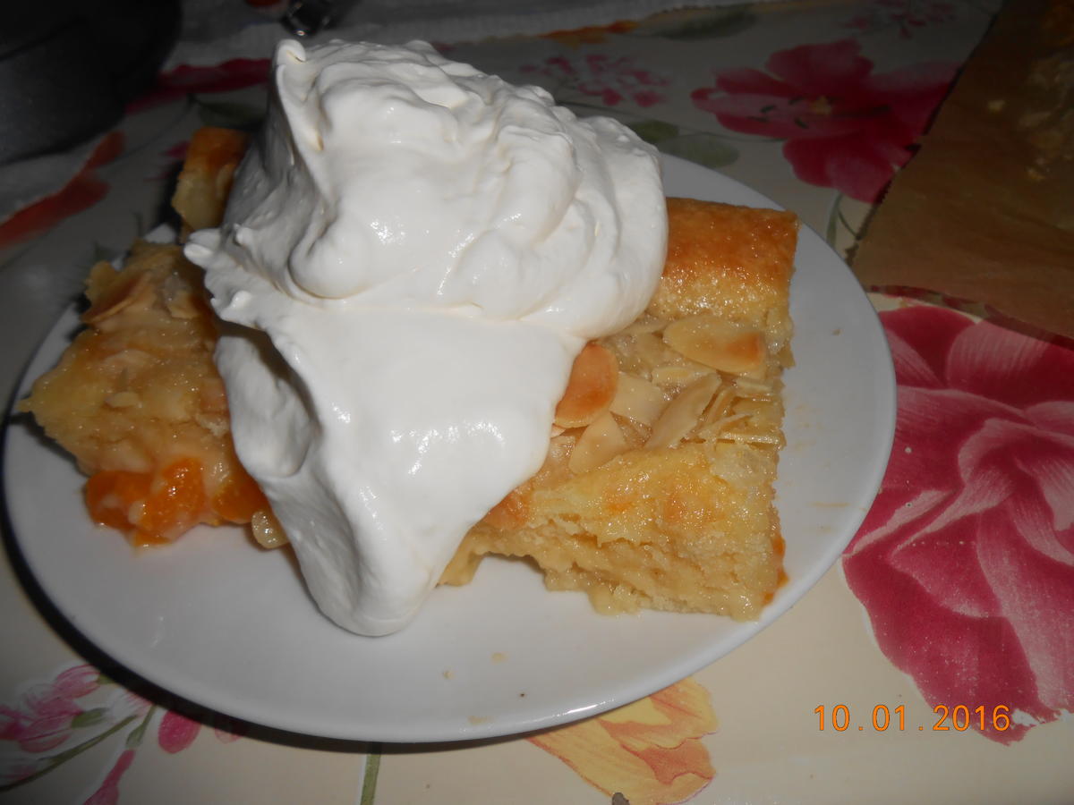 Mandarinenkuchen - Rezept - Bild Nr. 3514