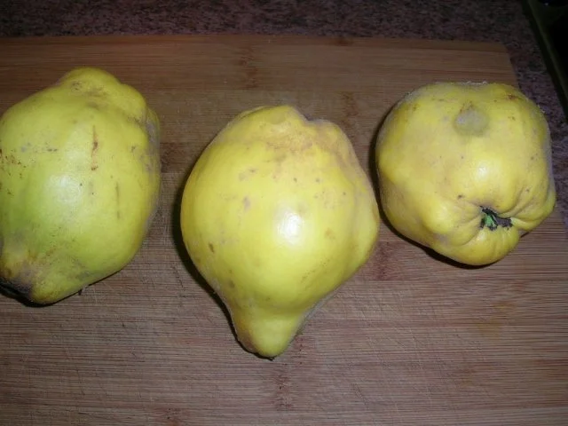 Quitten-Rotkohl (als Beilage zu meiner Gans) - Rezept - Bild Nr. 4