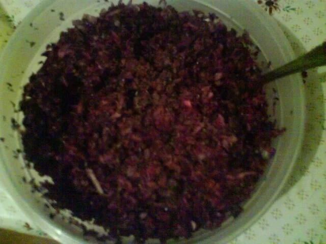 Rezept: Fruchtiger Rotkohlsalat Bild Nr. 7 Fruchtiger Rotkohlsalat - Rezept - Bild Nr. 7