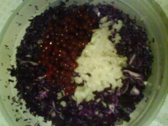 Rezept: Fruchtiger Rotkohlsalat Bild Nr. 5 Fruchtiger Rotkohlsalat - Rezept - Bild Nr. 5